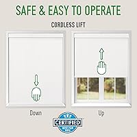 Vista 3 de Calyx INTERIORS Persiana enrollable opaca con cenefa, aislante térmico, sin cable, 28.5 pulgadas de ancho x 60 pulgadas de alto, blanco simple