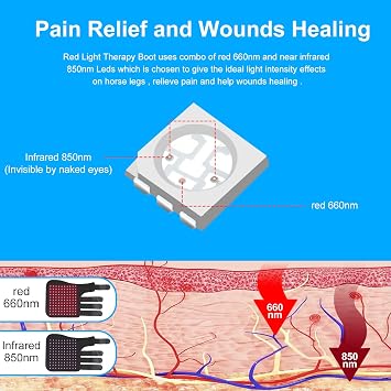 Infrared Horse Care Boots: Red Light Therapy for Horses - Alleviate Muscle and Joint Pain Caused by Vigorous Exercise in Horse Legs (1 Unit, fits Each Leg)