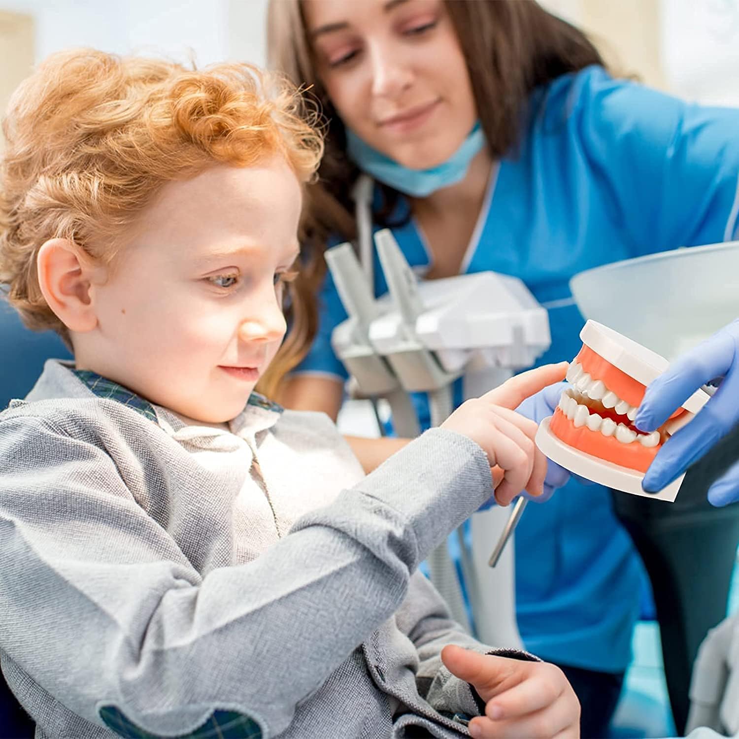 ERNZI Modello Dimostrativo Dentale per Bambini Modello di Cura Dentale Strumento Dentale Modello Standard 2 Denti 9,2 X 7,5 X 5,1 Cm
