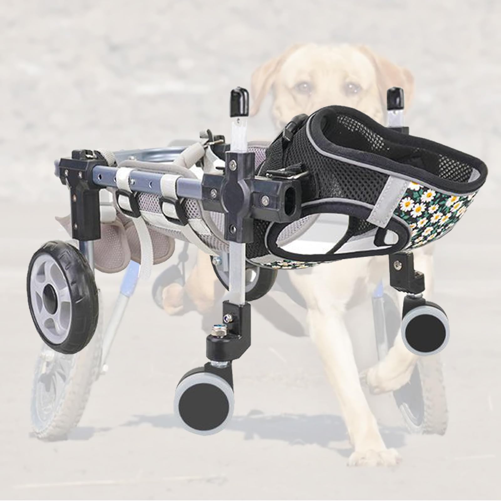 Fauteuil roulant réglable pour chien à 2 ou 4 roues avec support des pattes arrières