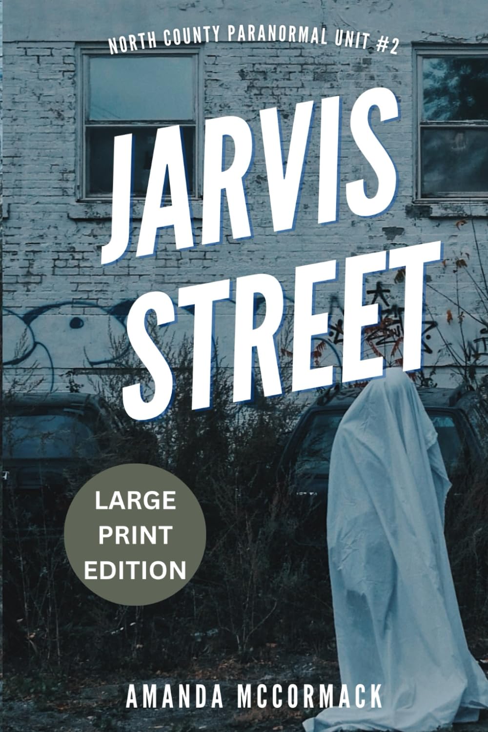 Jarvis Street - Large Print Edition: North County Paranormal Unit #2 (North County Paranormal Unit: LARGE PRINT EDITION)
