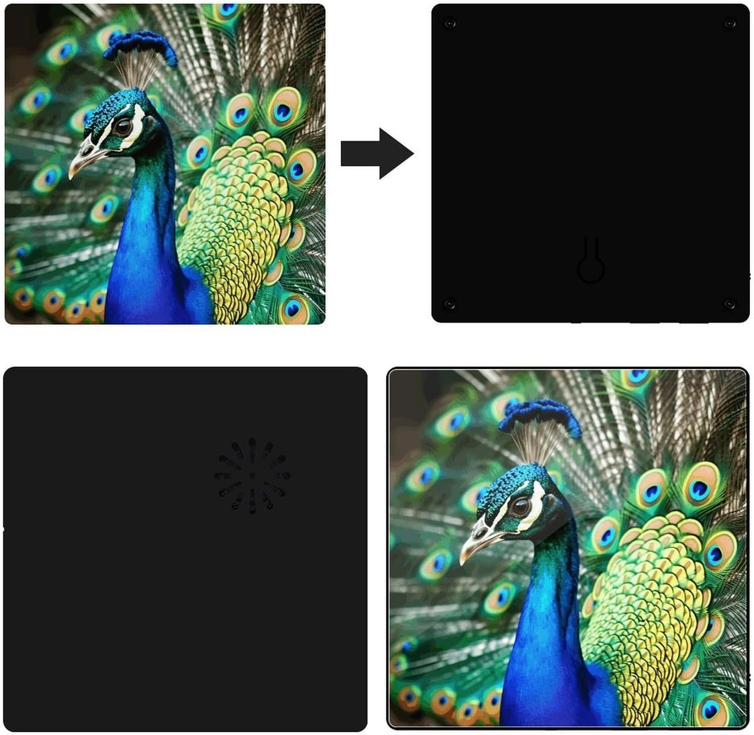Beautiful Peacock Music Refrigerator Sticker image 3