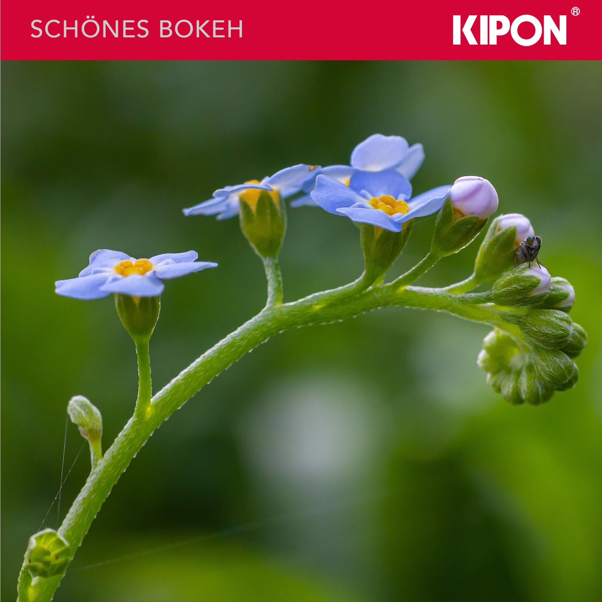 Kipon Iberit 50/2,4 Formato completo Fuji X