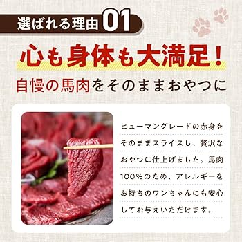 Amazon | 健康いぬ生活 犬 おやつ 馬肉 100% ジャーキー 120g