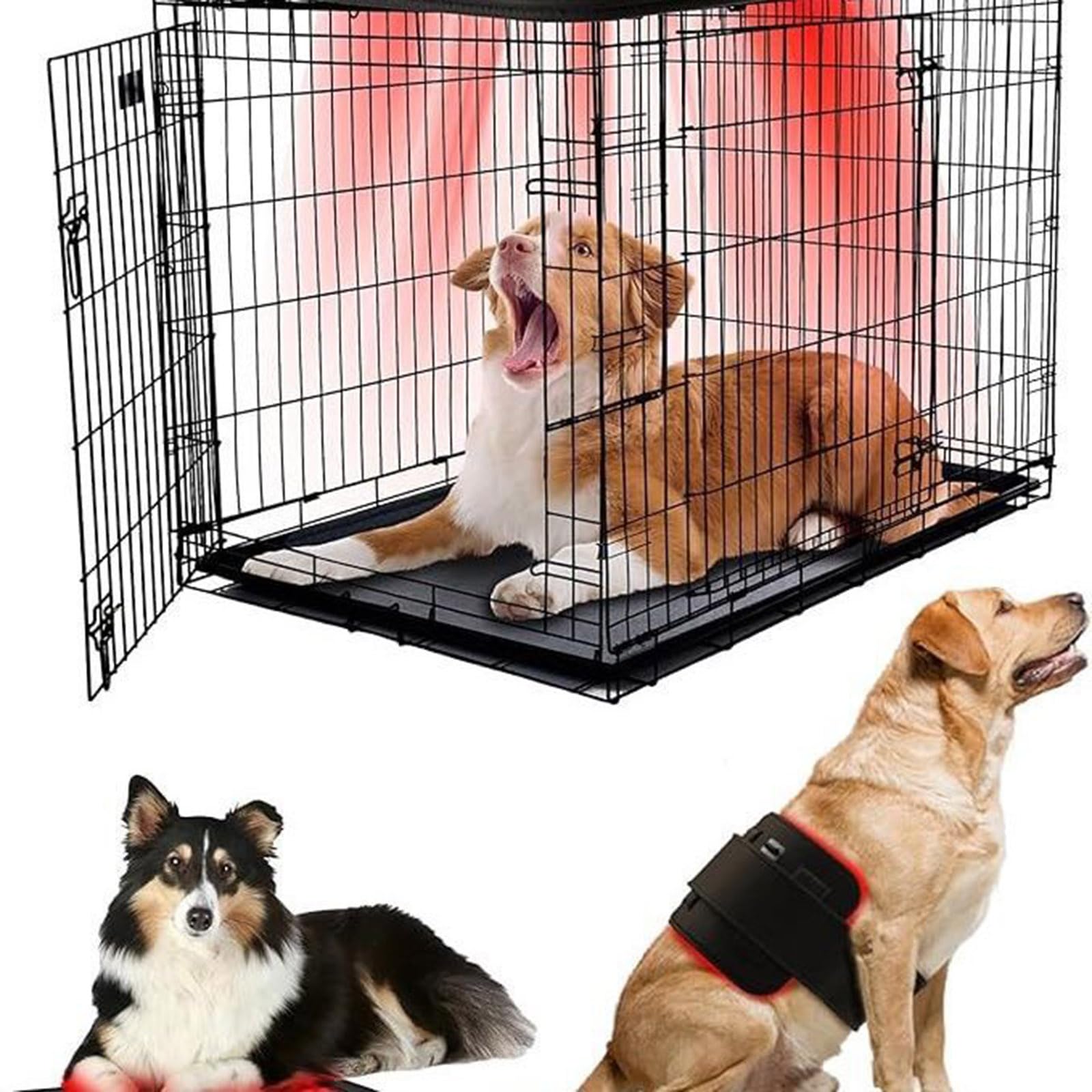 Cinturón De Terapia De Luz Roja For Mascotas, 120 Uds. LED De 660nm Y 850nm, Dispositivos De Luz Infrarroja Cercana, Envoltura Portátil For Perros, Alivio Del Dolor De Gatos