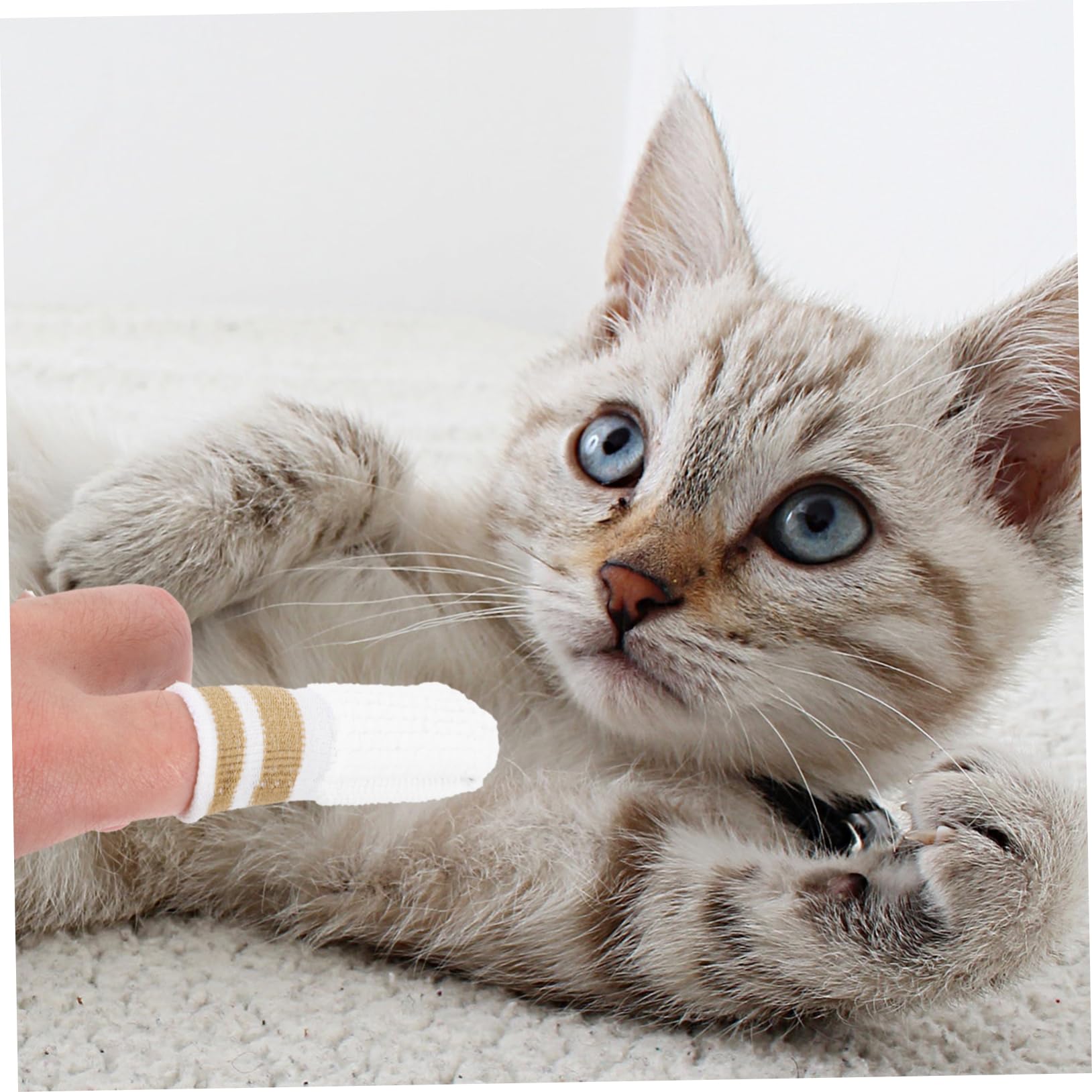 INOOMP 30stücke Zahnreinigung Fingerwipes Für Hunde Und Katzen Praktische Zahnpflege Für Haustiere Sanfte Reinigung Für Frischen Atem Und Gesunde Zähne
