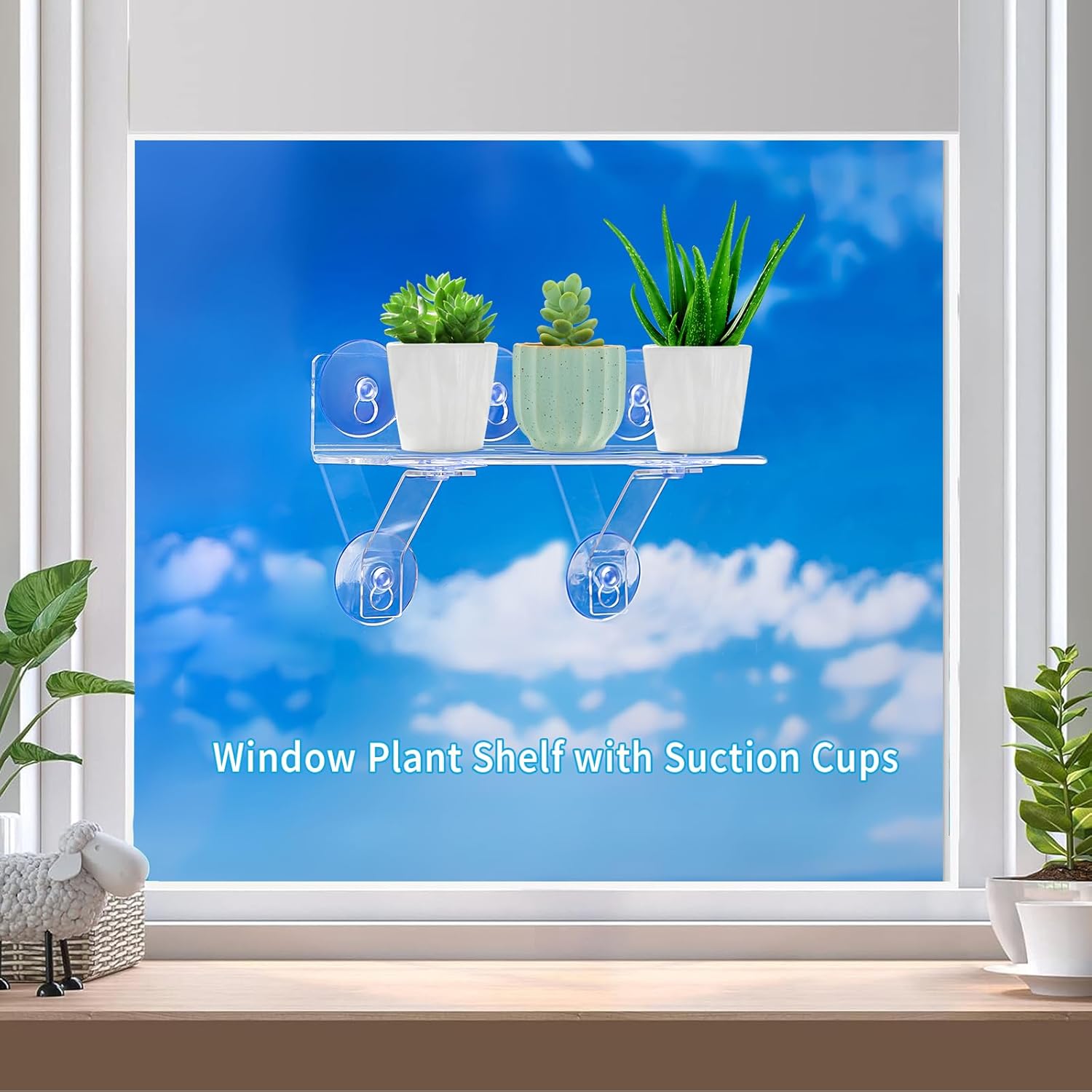 2 Pack 12 Inch Suction Cup Shelf for Plants Window - 5IN Extra Wide with Load-Bearing Brackets Window Shelf for Plants, Acrylic Window Sill Extender for Growing Herbs, Micro Vegetables, Succulents