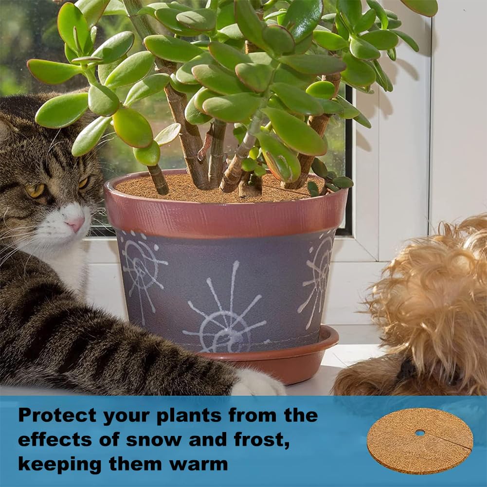 C.Saler Tapis En Coco Protection Hivernale Pour Plante Paliers