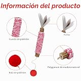 Ver la foto 6