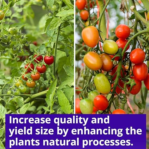 Miniatura 10 de Humboldts Secret Sweet & Sticky - Fuente de energía con carbohidratos y sacáridos - Mejora el aroma y el sabor de las plantas - Tierra para macetas