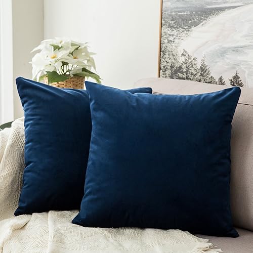 MIULEE Pack of 2, Velvet Soft Solid Decorative Square Throw Pillow Covers Set Cushion Case for Sofa Bedroom Car 18 x 18 Inch 45 x 45 Cm