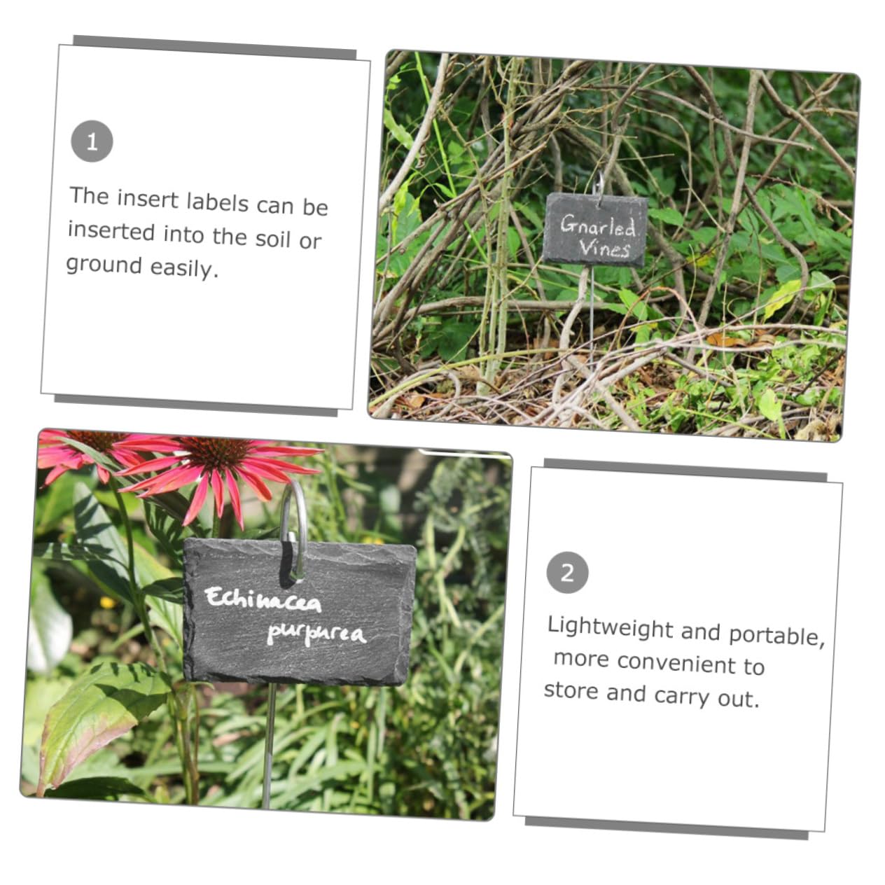 BESPORTBLE Etichette per Piante in Ardesia, Marcatori da Giardino Riutilizzabili in Acciaio Inossidabile, Facili da Scrivere, per Giardini e Parchi,
