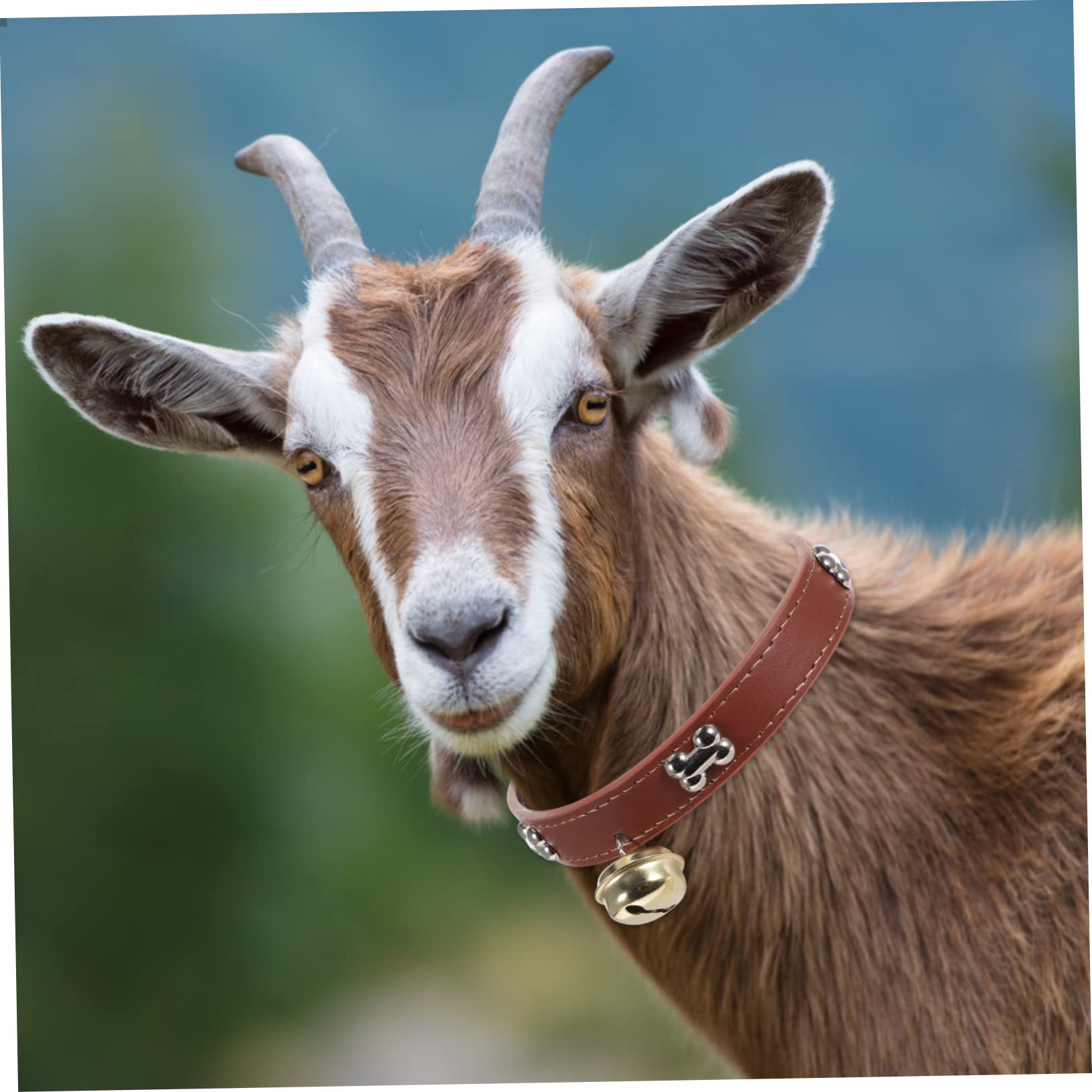 Amazon | iplusmile 4個 山羊の首輪 牛首鈴 家畜の付属品 ベル