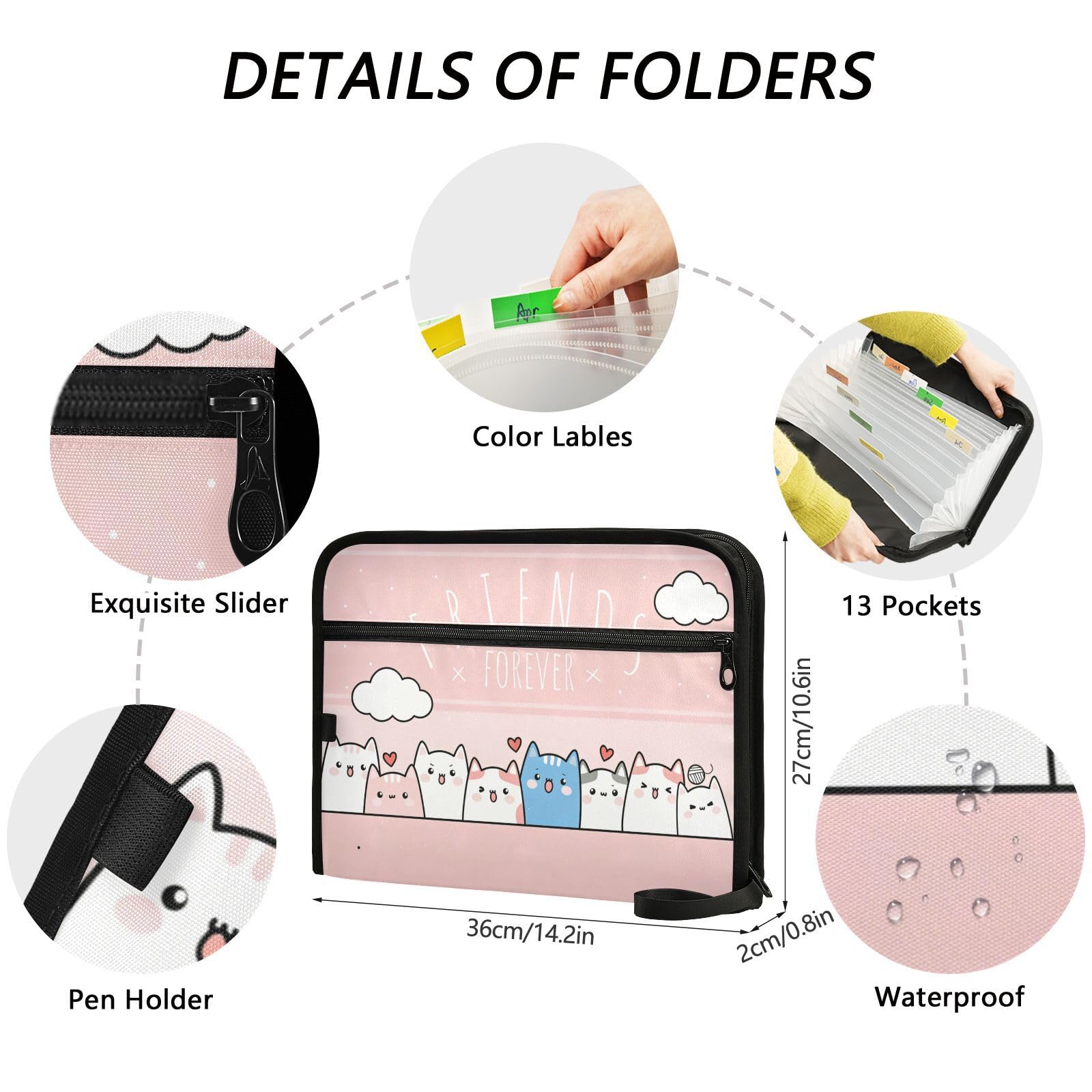 Amazon.com : Cute Kitty Cat Pink Expanding Accordion File Folder