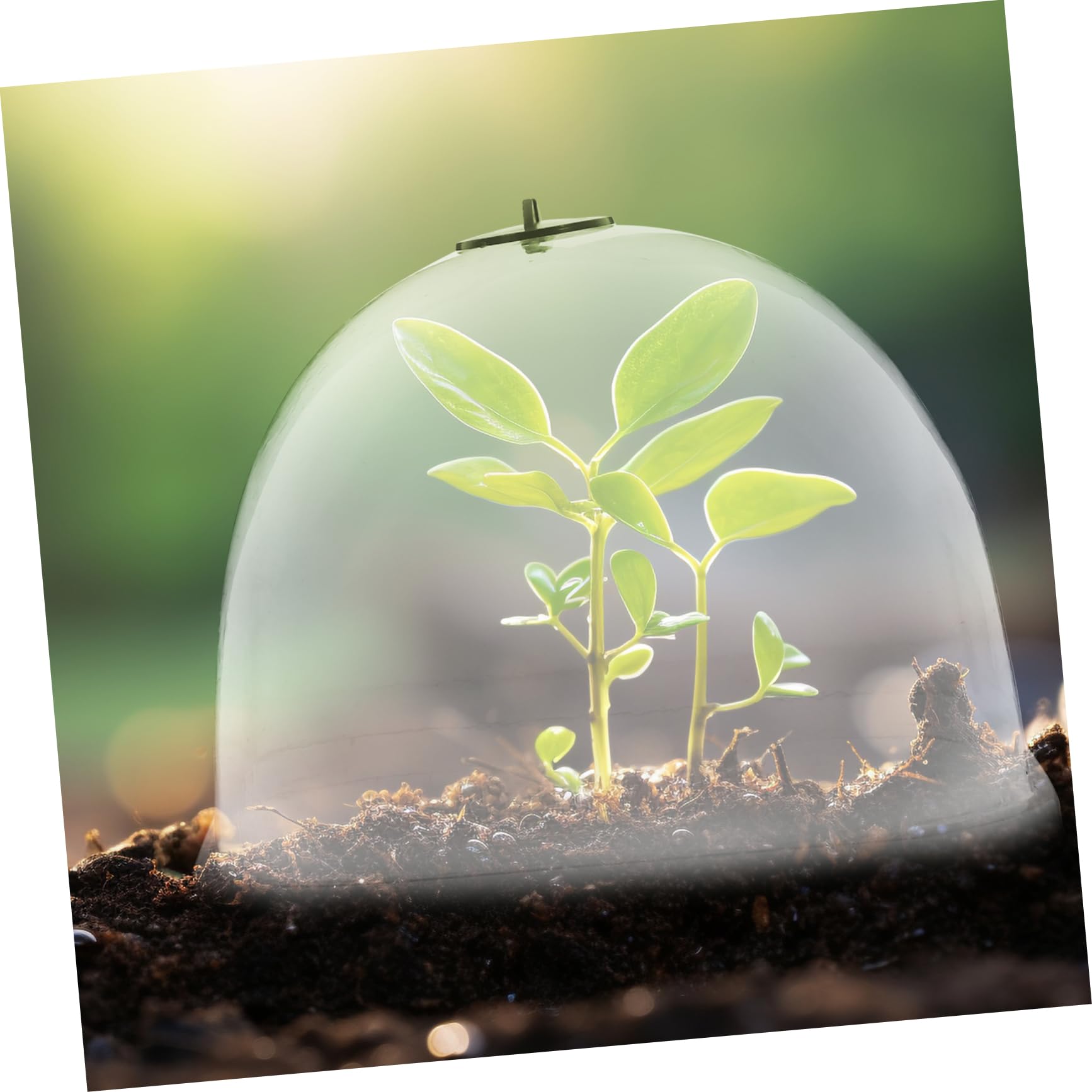 Toddmomy 3 Series Protectora De Plantas Transparente para Jardín Protección contra Heladas Y Condiciones Climáticas Adversas 10 Piezas X 3