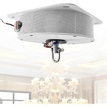 Chandelier Hoist Lifter System, Electric Motor Winch Lighting Lifting. Max Capacity 176 lbs Hoist Lift, Remote-Control for Lamp Cleaning Maintenance 40kg