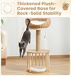 Made4Pets Tour de chat en bois moderne pour les chats intérieurs avec lit de chat de rotin tissé à la main, arbre de chat avec scratching de chat sisal / 2 Coussin doux pour petit & Moyenne Cats-76cm/30