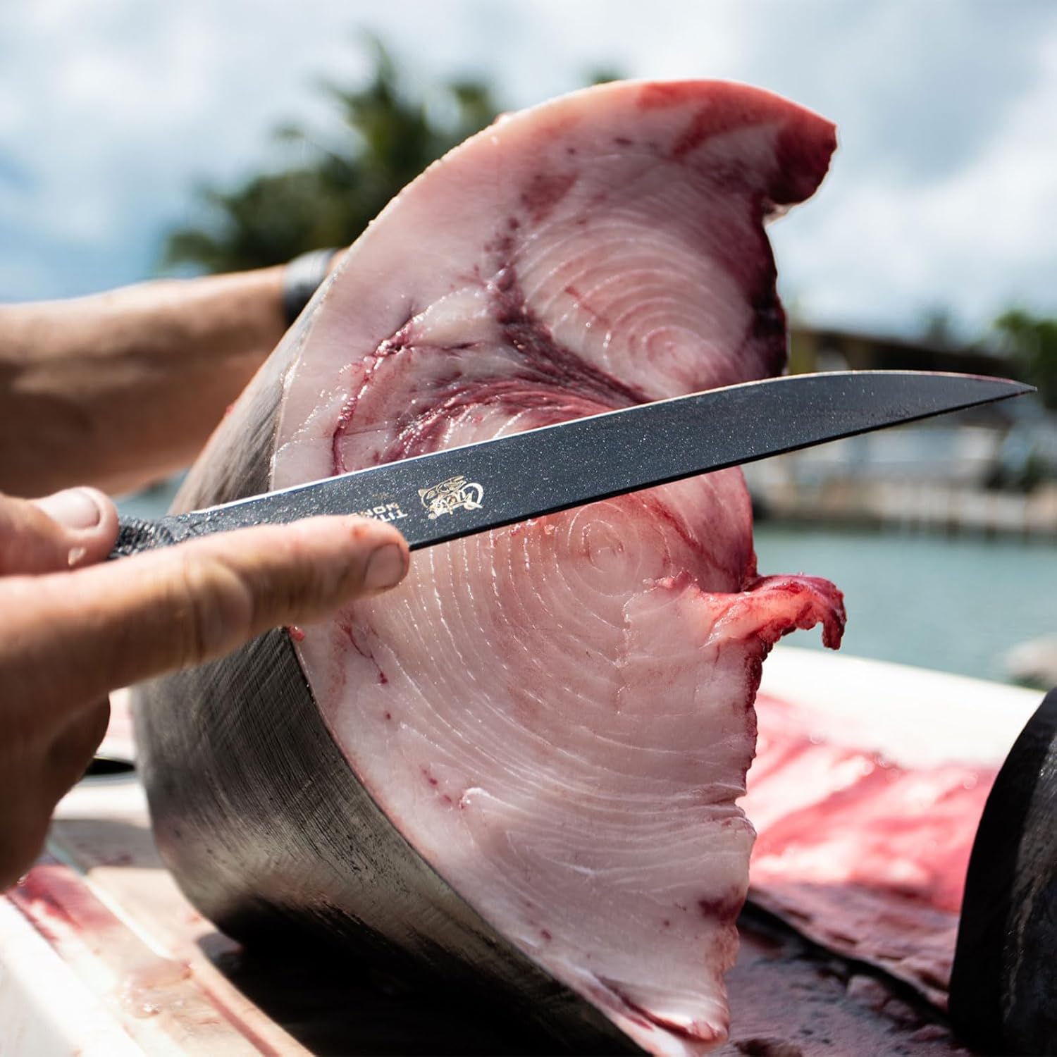 Cuda Semi-Flex Wide Fillet Professional Saltwater Precision Ground Edge Corrosion Resistant Fish Knife with Hard Molded Sheath Included