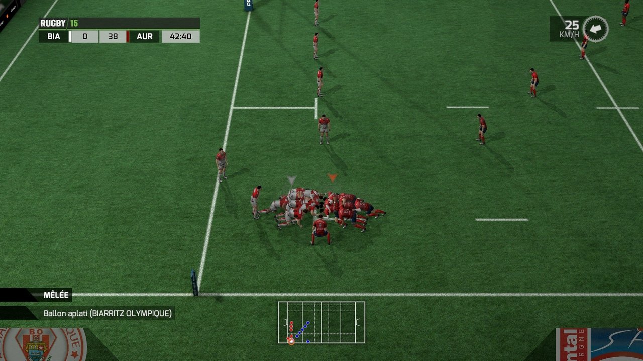 Rugby 2015