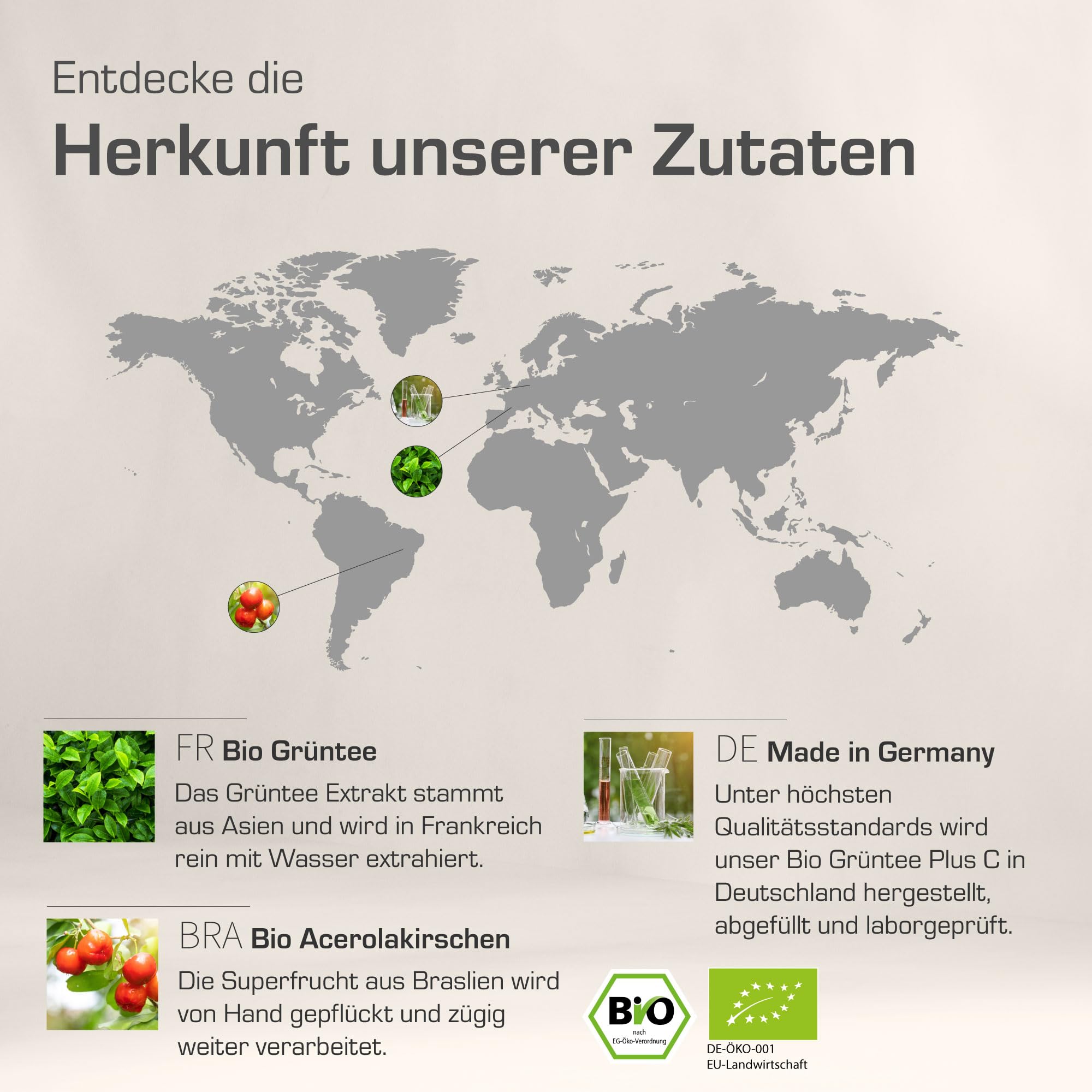 Purabyo BIO Grüntee Plus C | im Glas | Grüntee Extrakt mit 25% Polyphenolen | mit Bio Acerola C | Natürlicher EGCG Gehalt | vegan, laborgeprüft und in Deutschland hergestellt