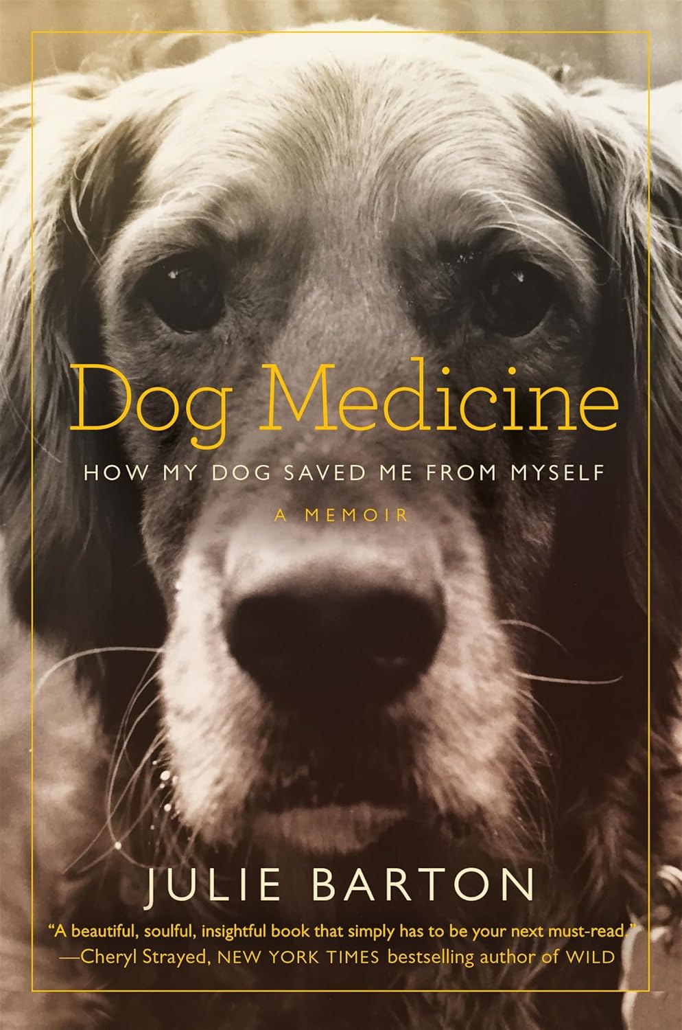 Dog Medicine How My Dog Saved Me From Myself Amazon.co.uk Barton