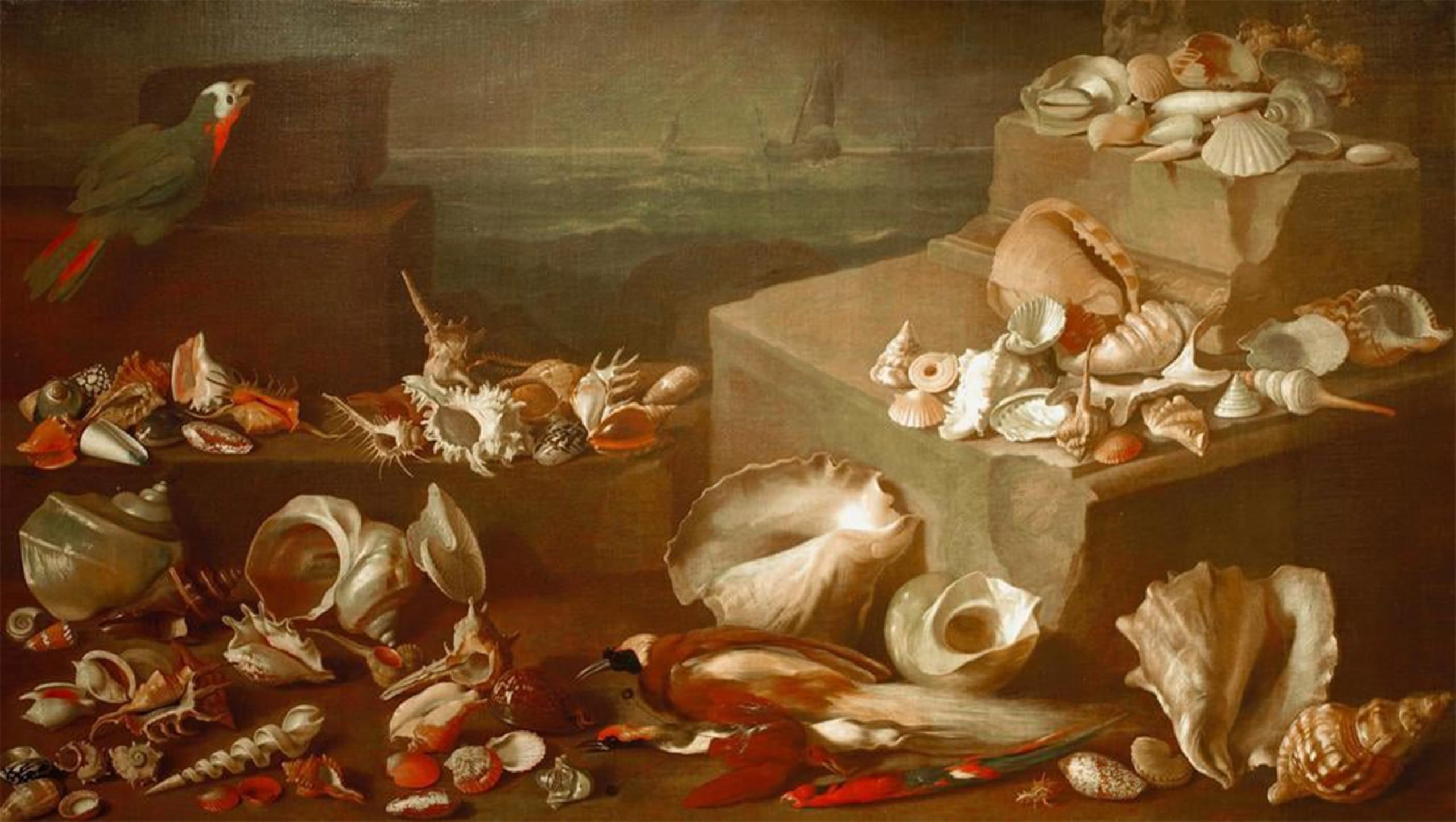 SERENDIPITP Abstract Painting Mural Print Picture Wall Decor Painting Still Life with Snails and Shells by Jan Davidsz De Heem Vintage Wall Artwork for Home Decor 60x90cm