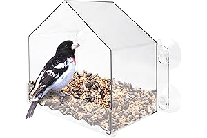Nature Anywhere Clear Plastic Window Bird Feeder for Outside
