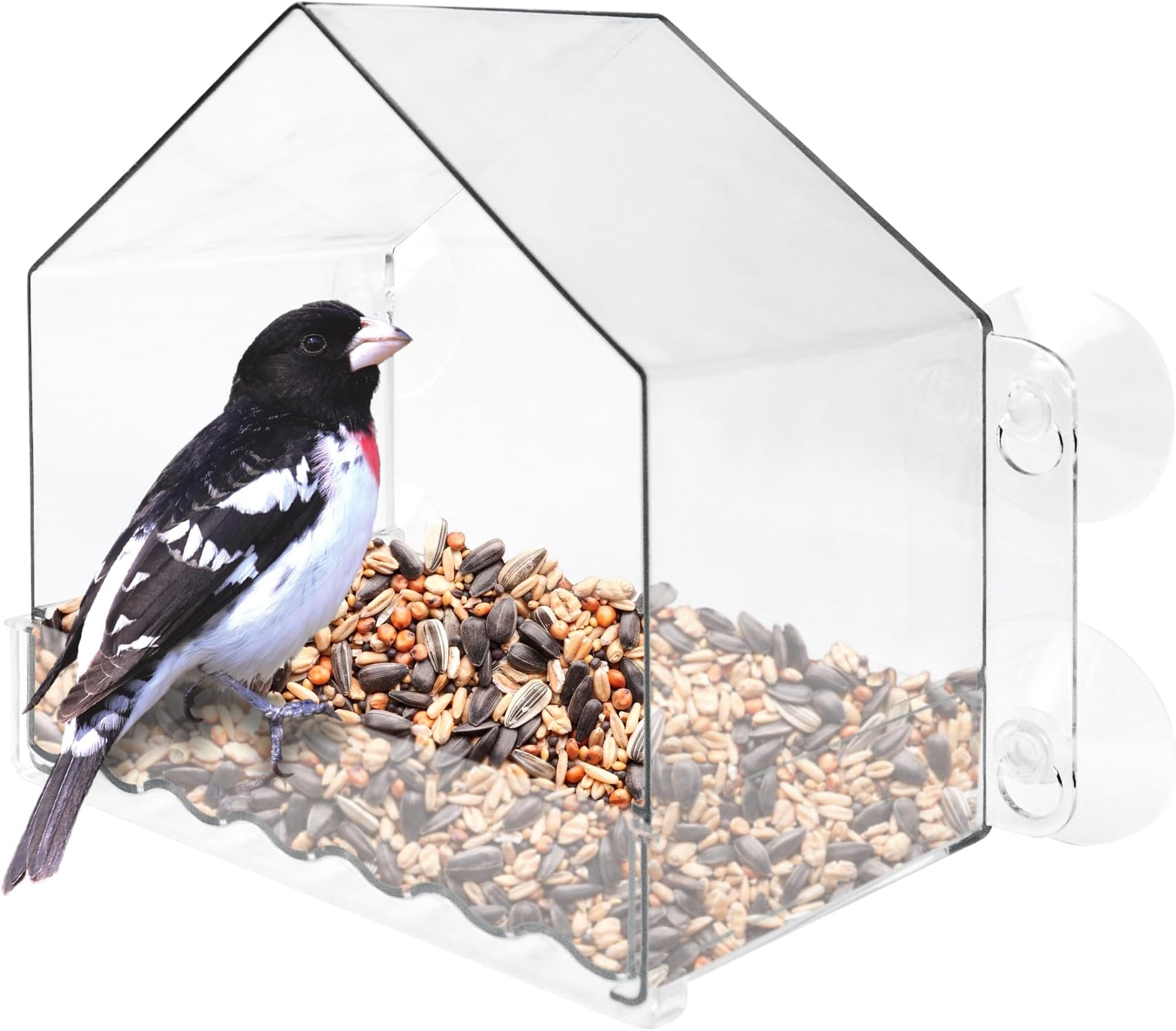 Nature's Way Win-3 Clear View Window Bird Feeder with Strong Suction Cups, Transparent Outdoor Wild Bird Seed Feeder and Décor, 2 Cup Capacity, Clear, 6.5"
