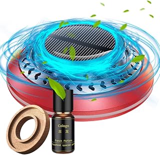 Electromagnetic Molecular Interference Antifreeze Snow Removal Instrument - Snow Removal for Cars, Car Decor, Vehicle Microwave Molecular Deicing Instrument, Car Diffusers for Essential Oils