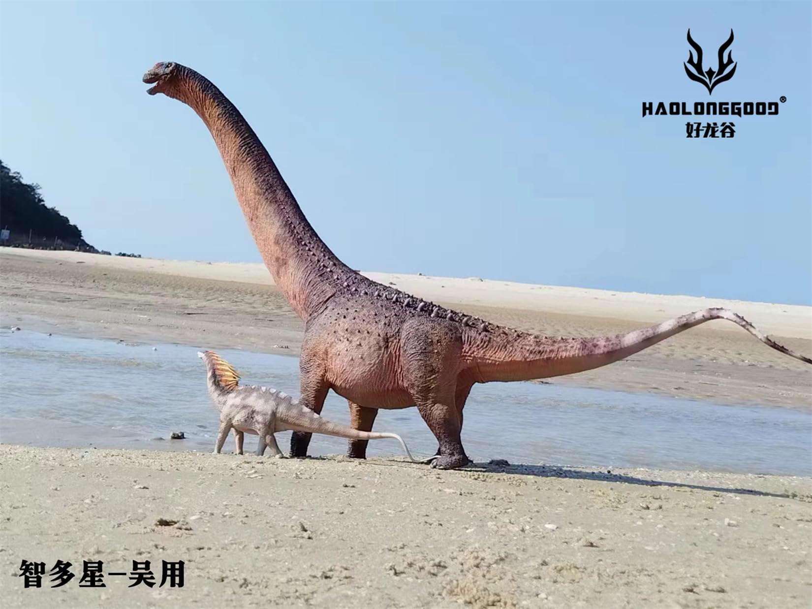 Amazon | BACALYSO | HAOLONGGOOD 1/35 サイズ アルゼンチノサウルス