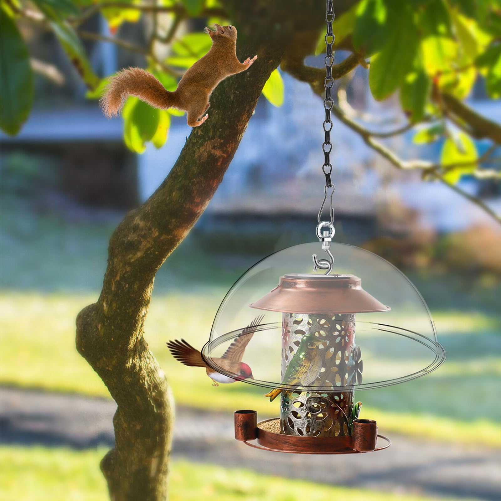 2 pièces Dôme de Protection Transparent pour Mangeoire à Oiseaux 30cm Housse de Protection Anti-écureuil avec des chaînes