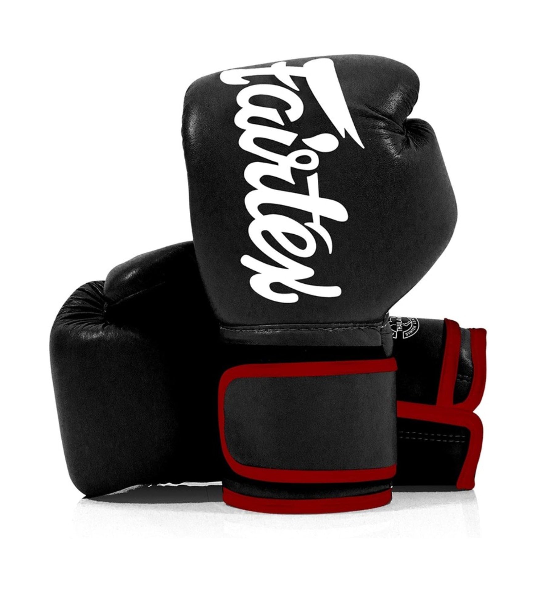 Fairtex Muay Thai Boxing Gloves for Men, Women, Kids | MMA Gloves, Kickboxing, Gym, Workout | Premium Quality, Light Weight &amp; Shock Absorbent Boxing Gloves - BGV14, BGV11, BGV18, BGV20, BGV25