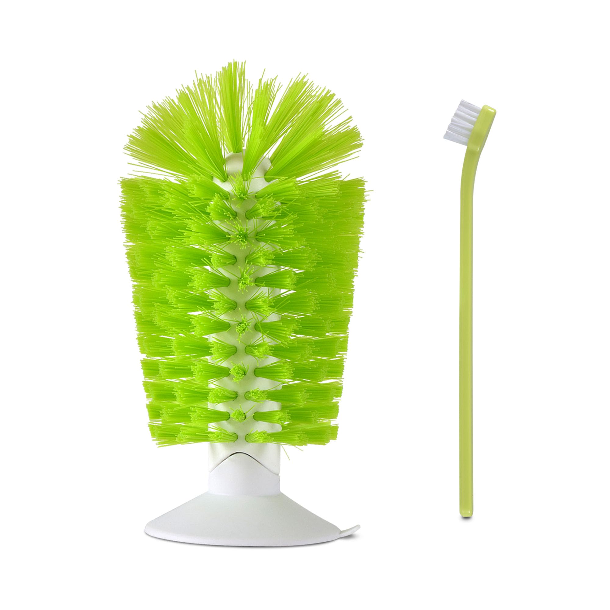 Turtle Shell Cleaning Brush With Suction Cup Turtle Scratcher