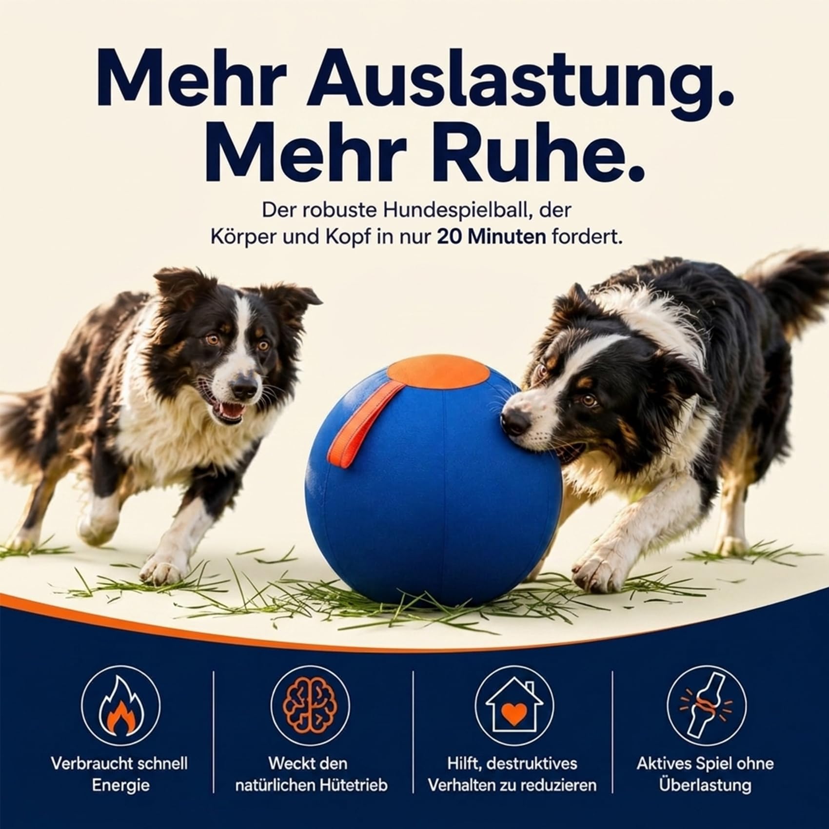 DZ'HUE Giant Herding Ball for Dogs, Ball für Hunde,Kau und kratzfestes Hundespielzeug mit Handschlaufe, Strapazierfähiges, reißfestes Spielzeug für Training, Übungen und Spiel (M)
