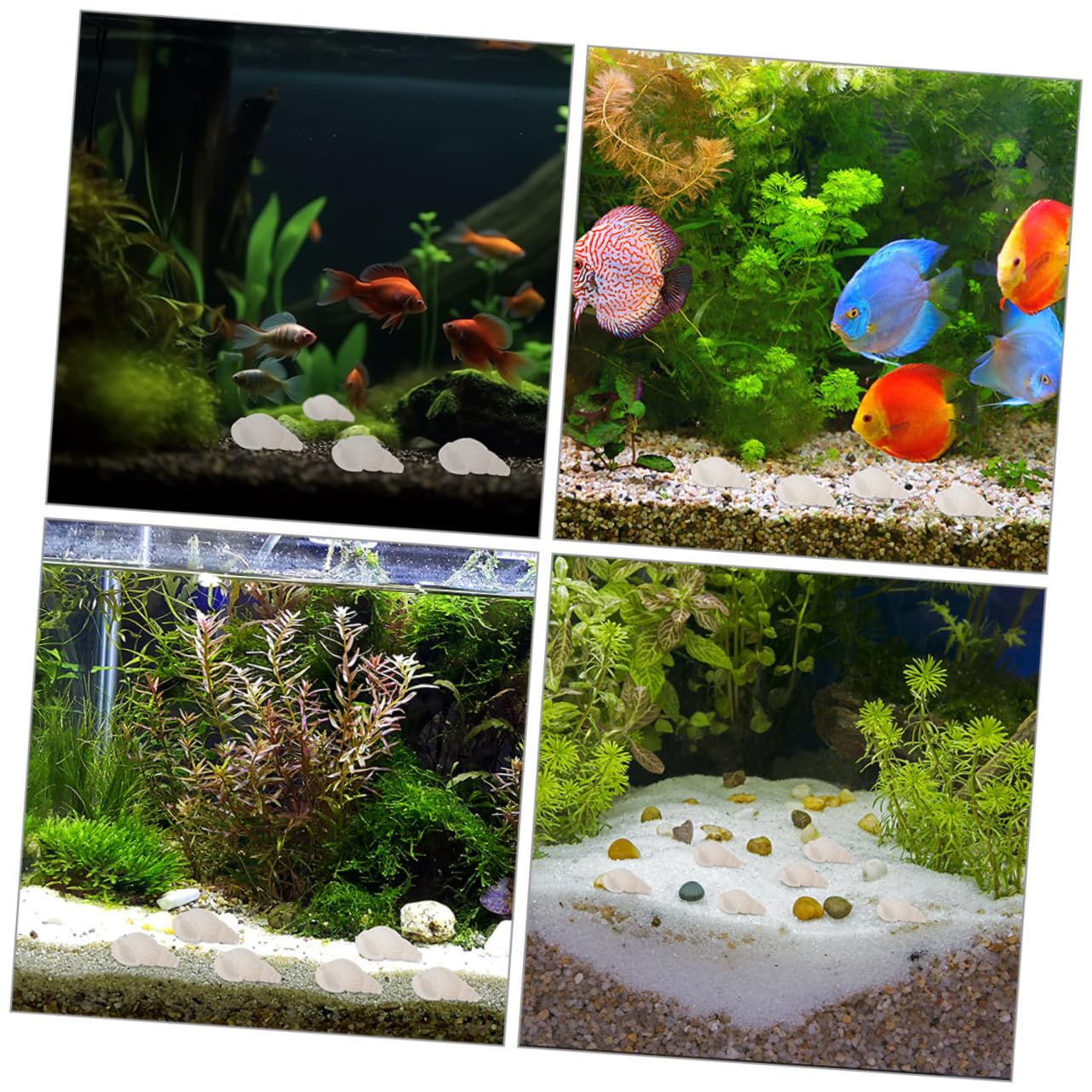 ULTECHNOVO 5 Set Decorazione A Conchiglia Conchiglie Mini Conchiglie Decorazioni per Acquari Piccoli Acquari A Forma di Conchiglia Decorazioni per Acquari A Forma di 400 Pezzi * 5