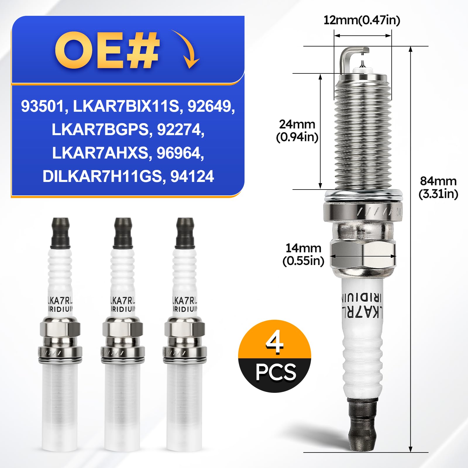 ビカクシダ PLovers CATEGORY diversifolium | IMAMA