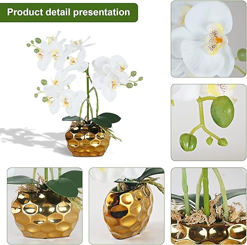 Miniatura 3 de Ziwon Flores y Plantas de Orquídeas Artificiales Plantadas en Maceta de Cerámica, Orquídeas Phalaenopsis Blancas Falsas para Centro de Mesa, Arreglo