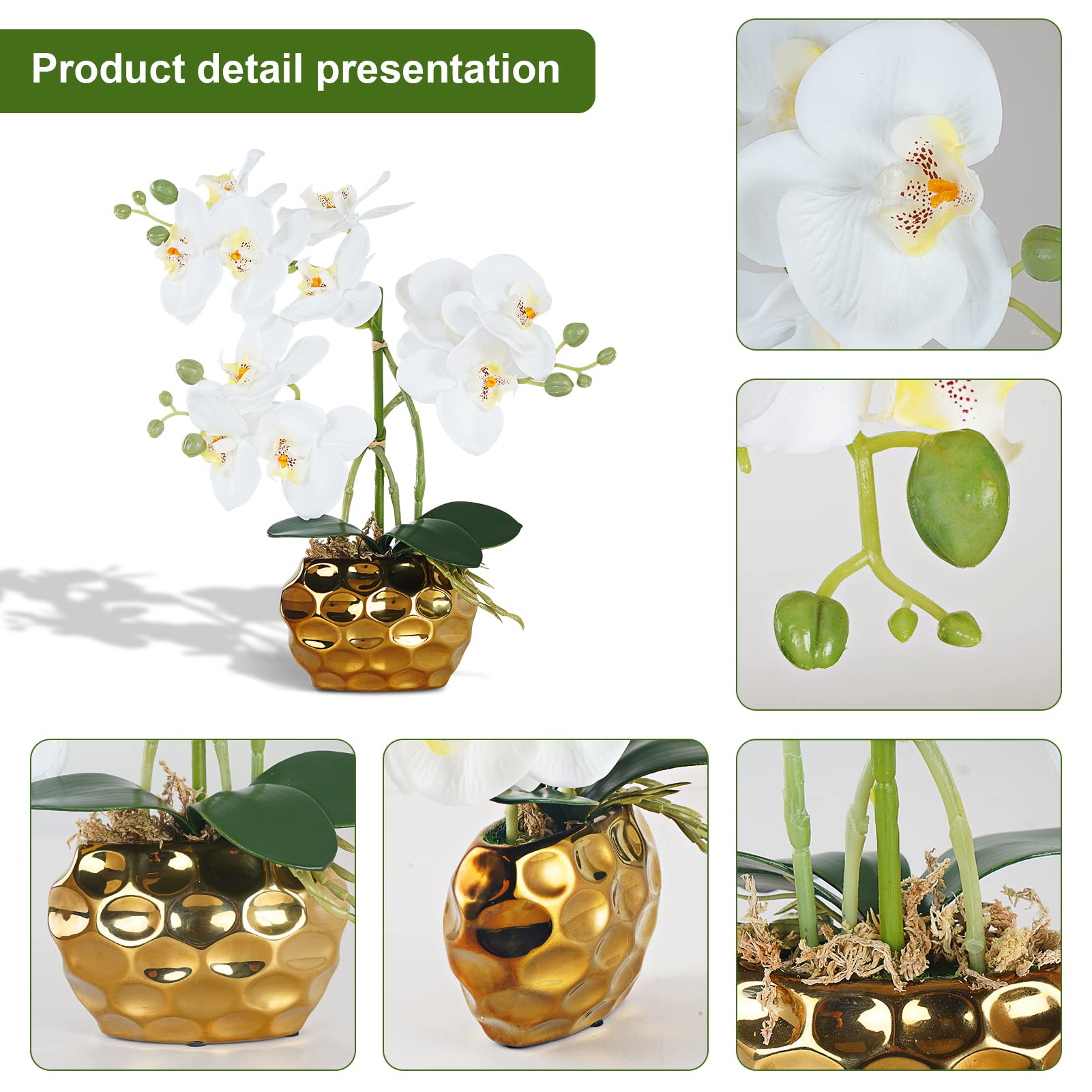 Ziwon 人工蘭の花と植物 セラミックポットに鉢植え 白い胡蝶蘭 テーブルセンターピース用 リアルなフェイクフラワーアレンジメント ホームオフィス装 Ziwon 人工蘭の花と植物 セラミックポットに鉢植え 白い胡蝶蘭