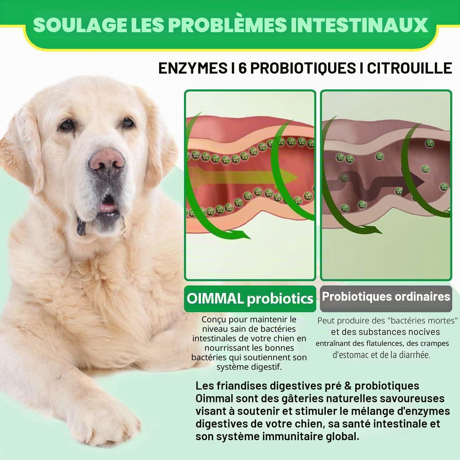 Probiotiques Chien, Favorise la santé de l'intestin, la diarrhée, la santé Digestive et Les Allergies saisonnières - Saveur de Canard - 120 mastications Souples