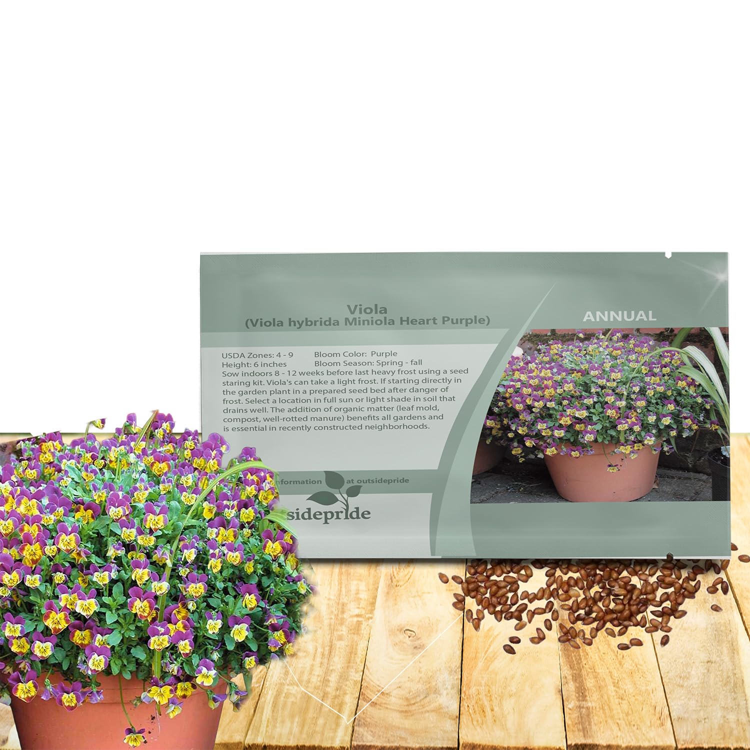 Amazon.com: Outsidepride Miniola Heart Purple Violet Seeds for