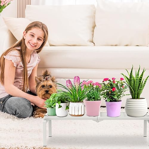 Miniatura 8 de Soporte de metal para plantas de 1 nivel para interiores y exteriores, soporte para macetas múltiples en maceta, estante para plantas, estantería de