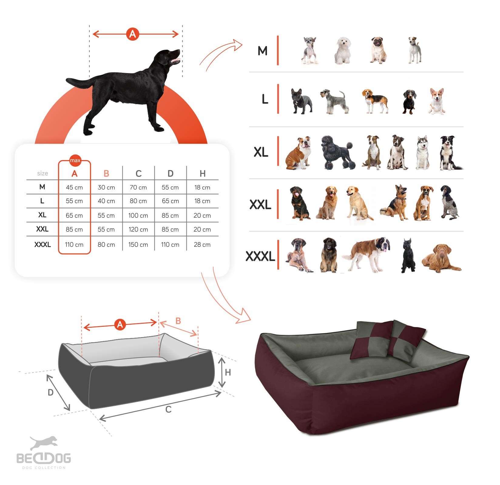 BedDog Cama para Perros 2 en 1 MAXQ, cojín para Perros con Funda extraíble Lavable, Cesta para Perros, sofá para Perros medianos, XL, Beige-marrón con Patas