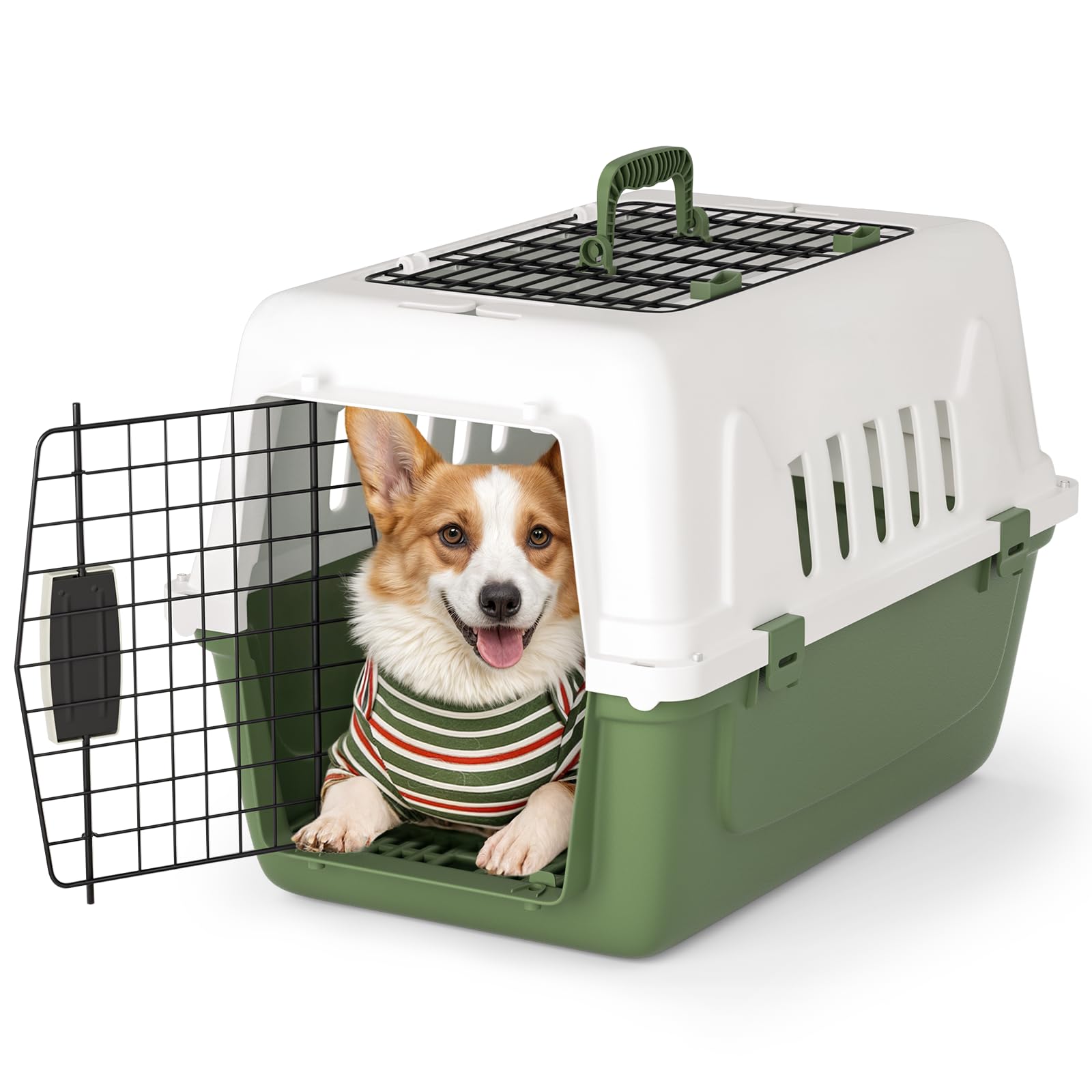 Magshion Pets Plastic Carrier, 22-Inch Hard-Sided 2-Door Top-Loading Kennel for Small Dogs and CatsLonger Traveling, Durable Handle, and 4 Sides Ventilation for Pet Up 22 lbs (White+Green)