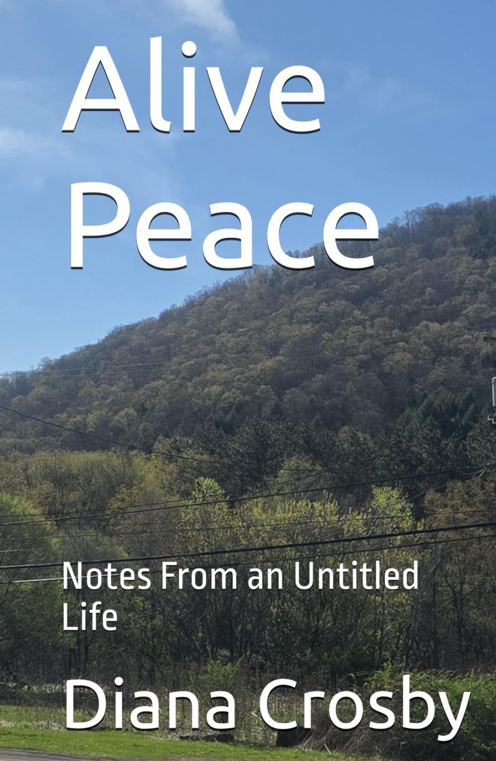 Alive Peace: Notes From an Untitled Life
