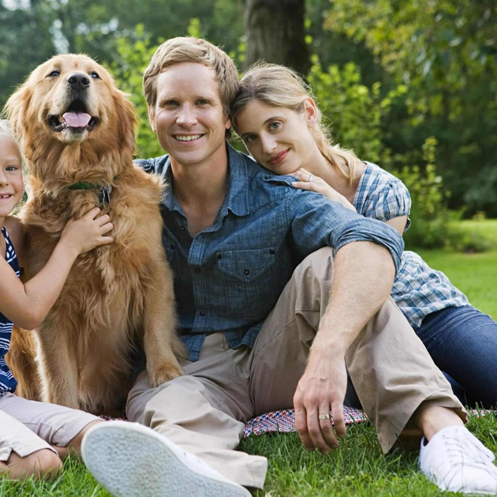 Ciotole per Cani Rialzate: Supporto Ciotole per Cani Rialzato in Metallo, Porta Ciotoles per Canis Rialzato Regolabile in Altezza per Canis Piccoli, Medi e Grandi, Altezza e Larghezza Regolabili, Nero