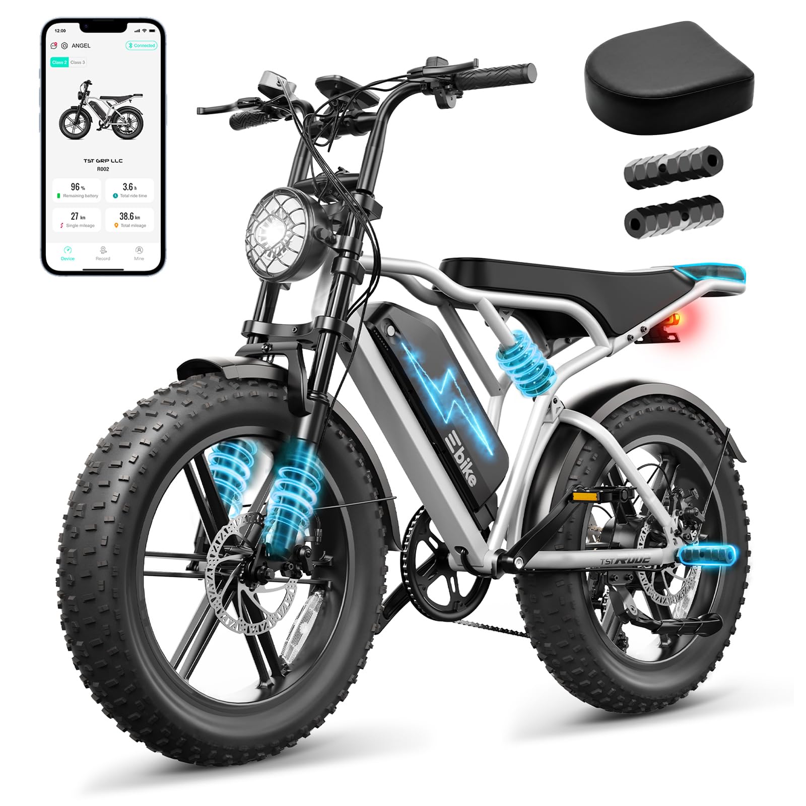 TST Electric Bike - 48V 15Ah Battery, 1500W Peak Motor, 20 * 4.0 Fat Tire