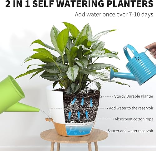 Miniatura 3 de FIASON Macetas blancas de 1098 pulgadas, macetas de plástico con agujeros de drenaje y platillos, un juego de 3 macetas adecuadas para interiores y