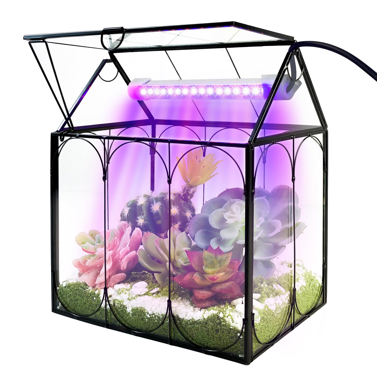 Rifny Large Glass Terrarium Kit
