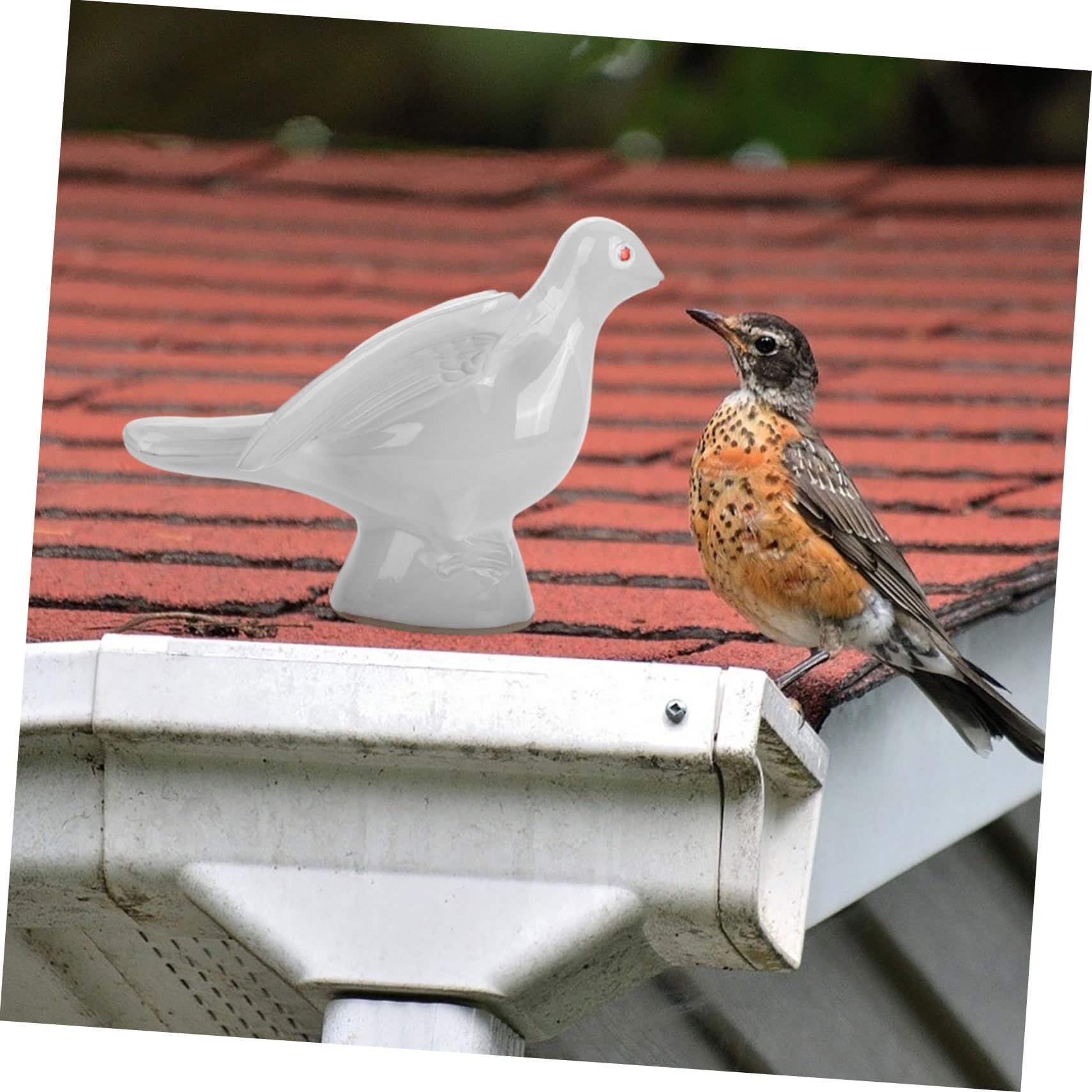 Amazon.co.jp: COHEALI 陶器製の鳩の置物 屋根飾り 庭の装飾 屋根用