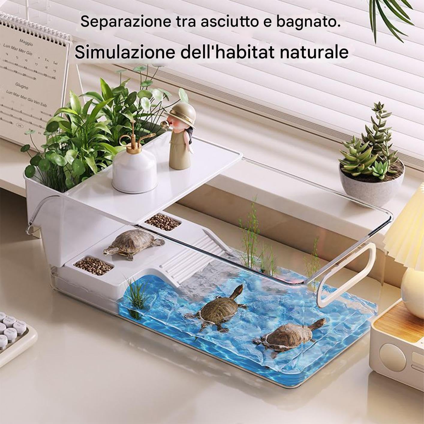 Terrario per Tartarughe - Zona Basking Per Tartarughe - Terrario Trasparente Con Area Basking Per Alimentazione Rettili Osservazione Quotidiana Di Granchi Eritti E Rane
